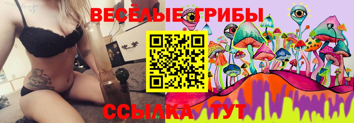 Псилоцибиновые грибы ЛСД  купить закладку  Котельники  Вход с VPN 