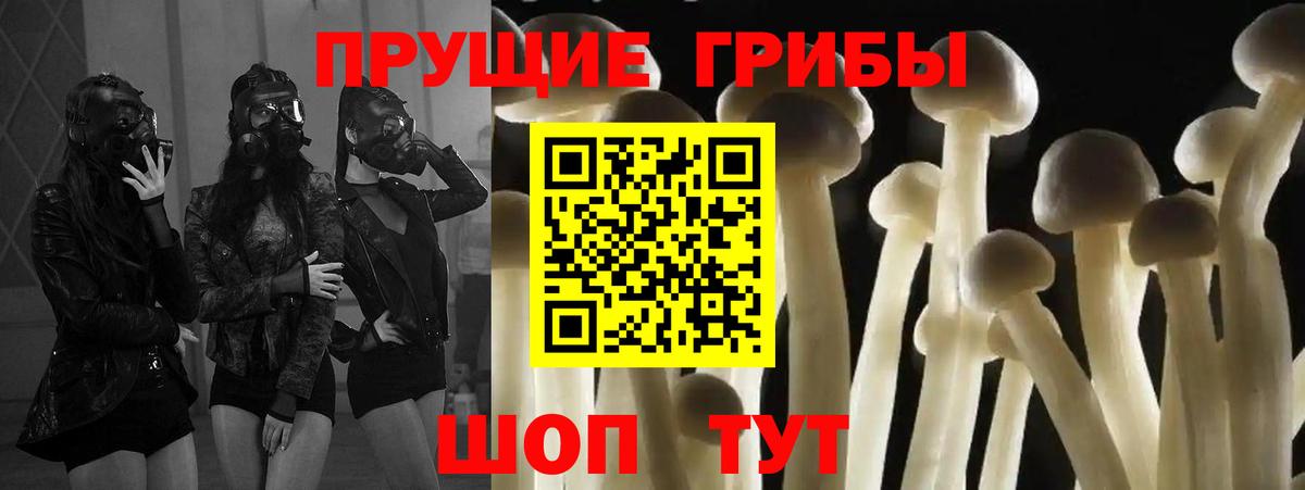 Галлюциногенные грибы прущие грибы Котельники